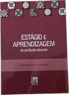 Estágio e Aprendizagem Da Profissão Docente (usado)